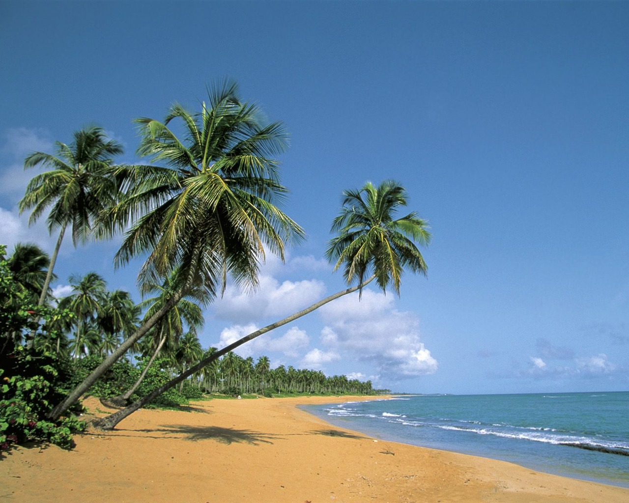 Fonds d'écran paysage de plage (7) #14 - 1280x1024