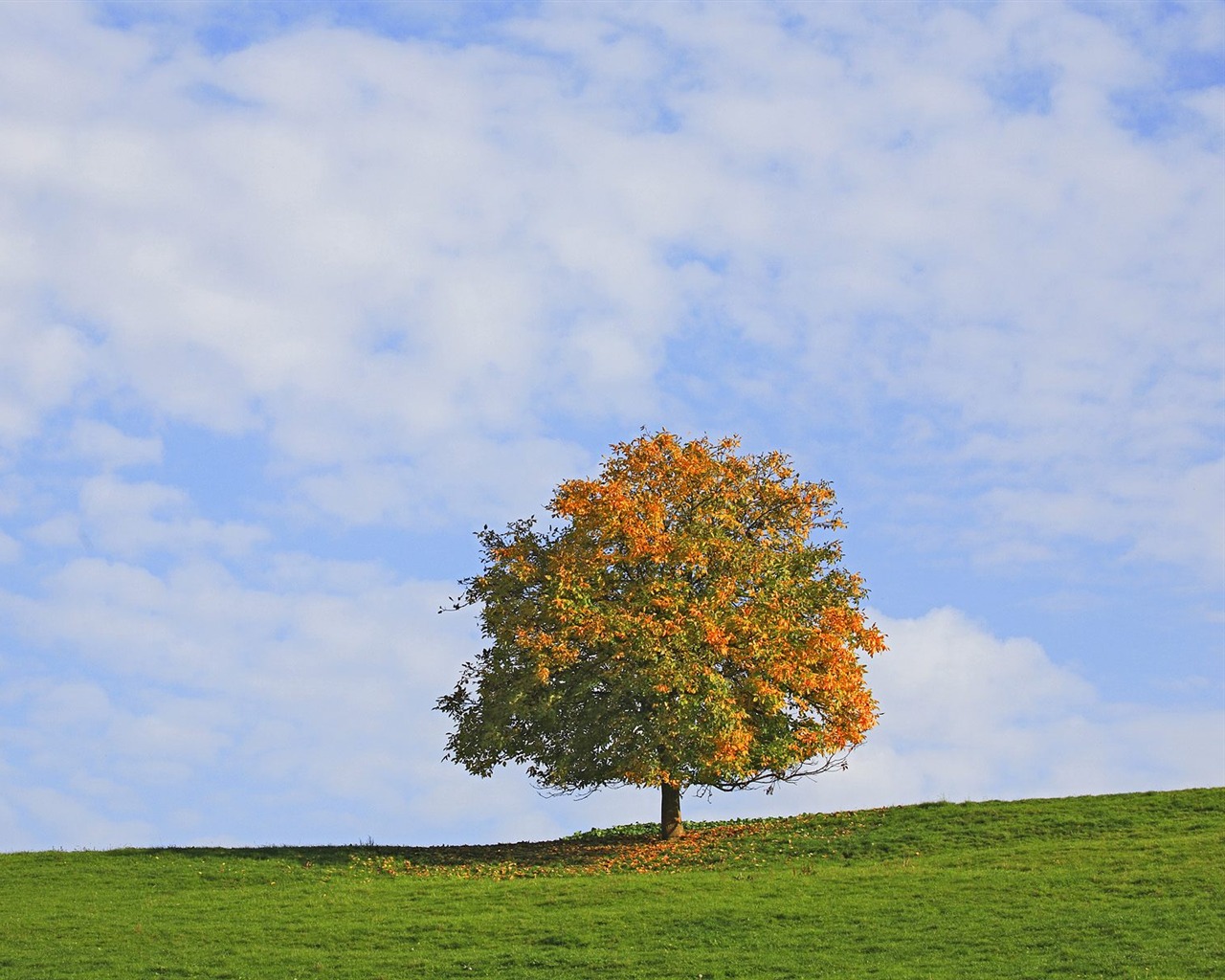 Scenery Collection Wallpapers (14) #9 - 1280x1024
