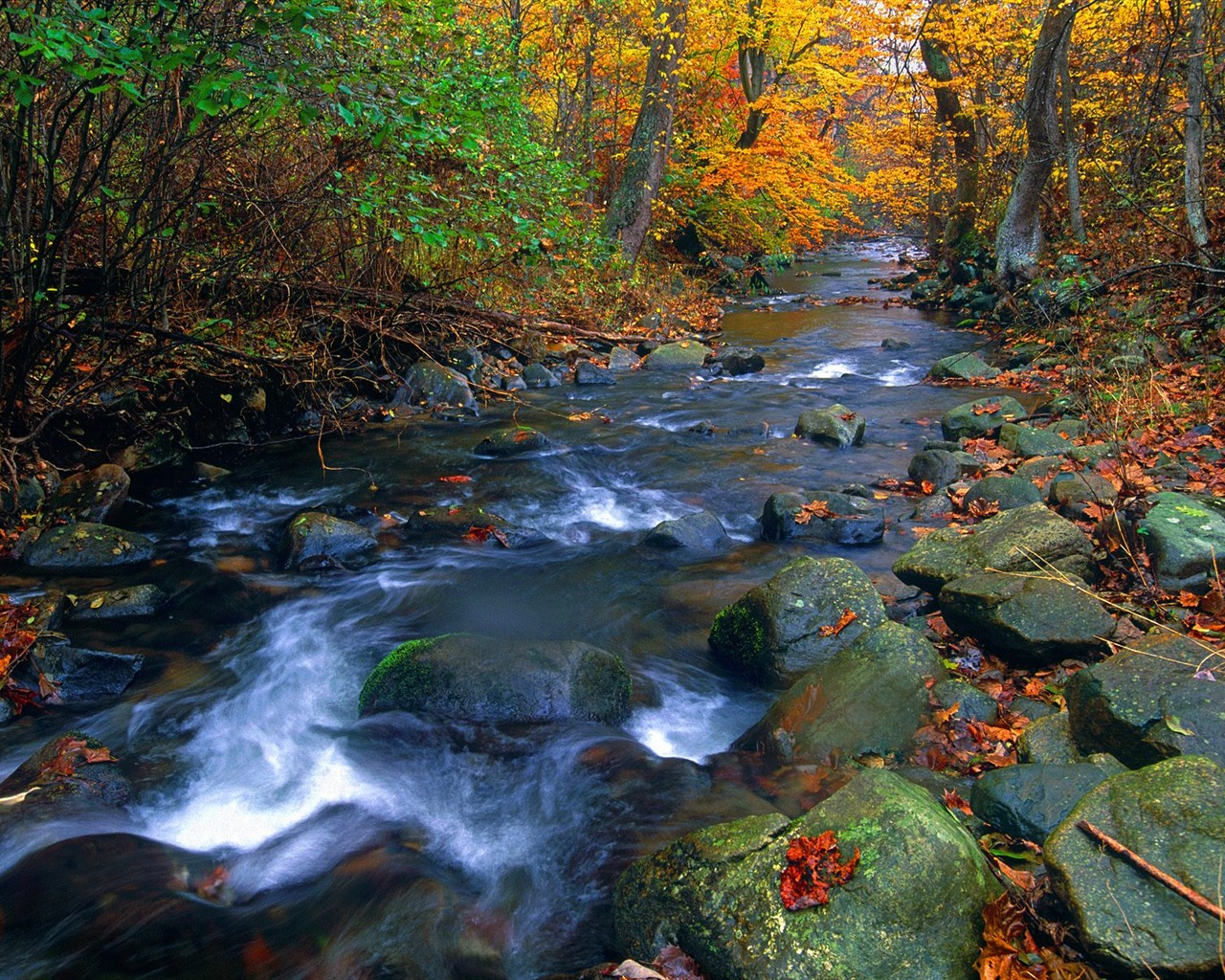 Tapety Krajina Kolekce (14) #10 - 1280x1024