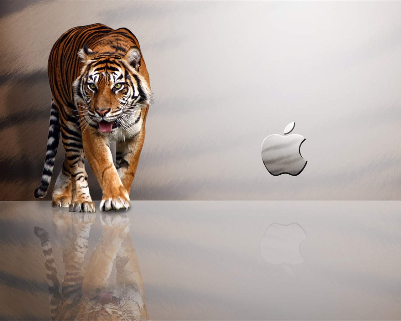 Apple téma wallpaper album (28) #8 - 1280x1024