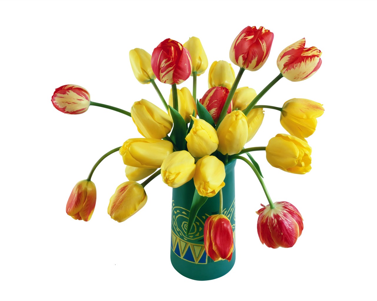 Tulip tapety album (1) #3 - 1280x1024