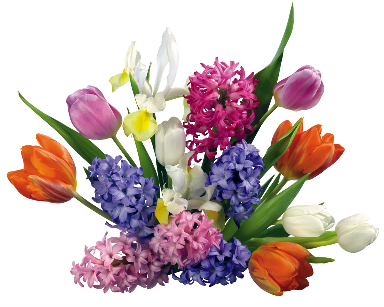 Tulip tapety album (1) #16 - 1280x1024