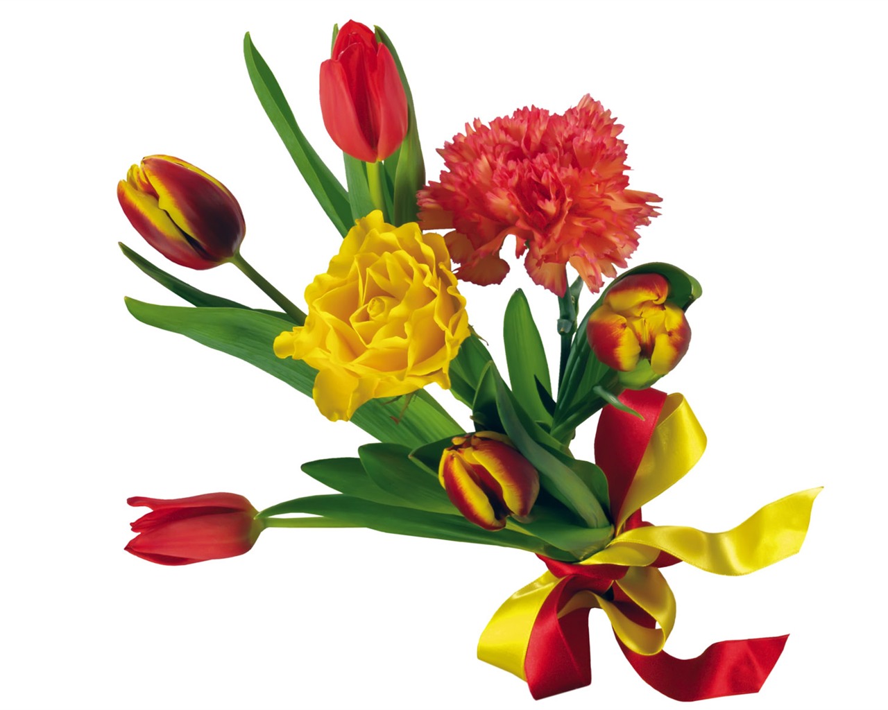 Tulip tapety album (1) #20 - 1280x1024