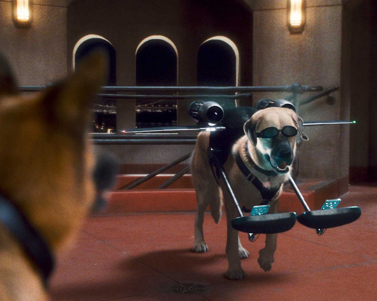 Cats and Dogs: The Revenge of Kitty Galore HD wallpaper #13 - 1280x1024