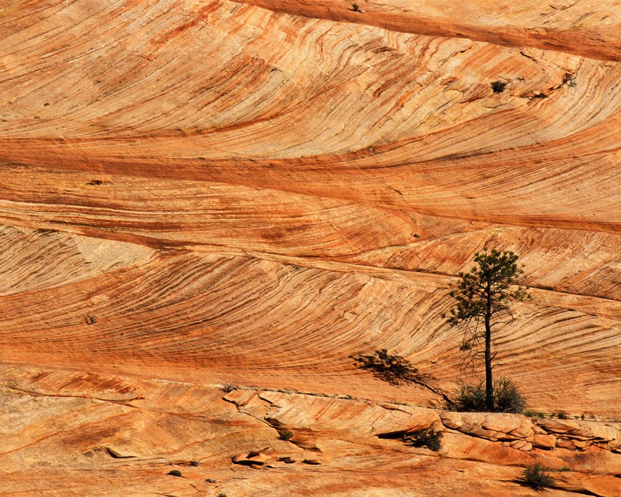 Red Rock Wallpaper Album #3 - 1280x1024