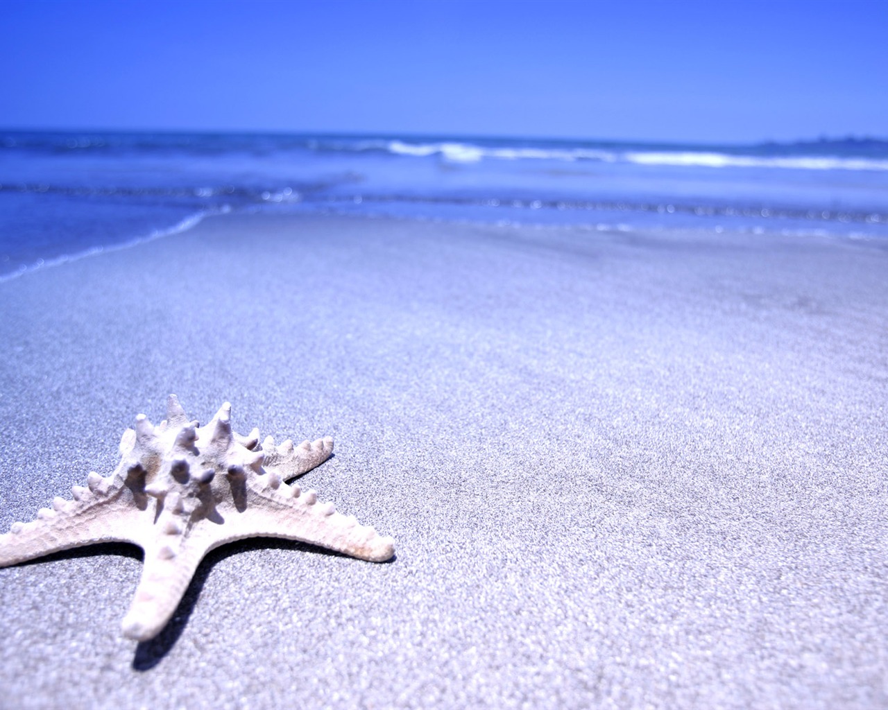 Beach foto tapety (1) #1 - 1280x1024