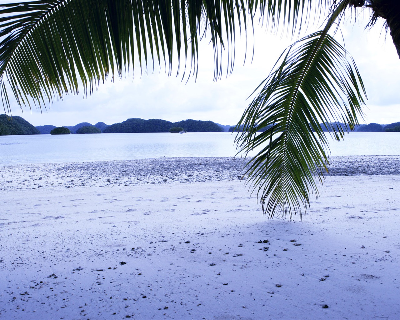 Beach foto tapety (1) #19 - 1280x1024