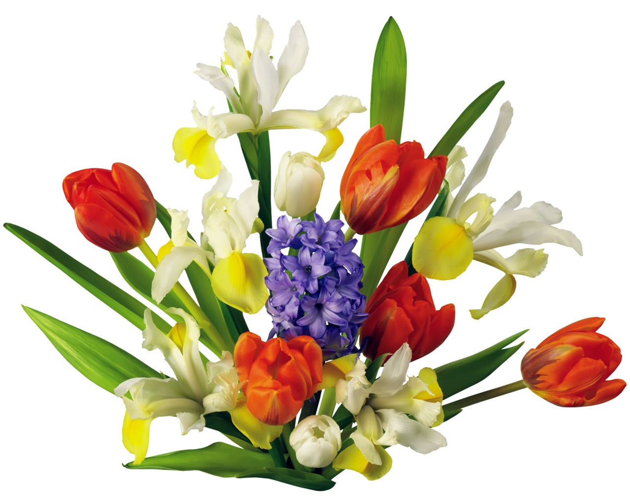 Tulip tapety album (2) #4 - 1280x1024