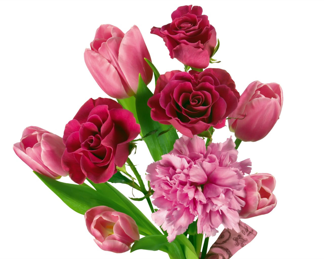 Tulip tapety album (2) #6 - 1280x1024