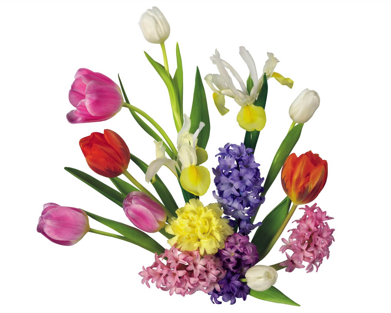 Tulip tapety album (2) #16 - 1280x1024