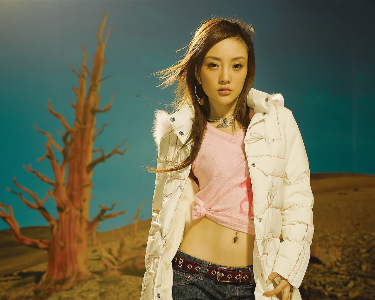 Star Collection widescreen wallpaper (3) #8 - 1280x1024