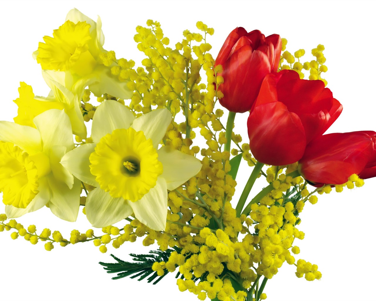 Tulip tapety album (7) #9 - 1280x1024
