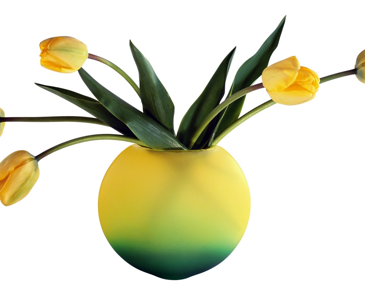 Tulip tapety album (7) #14 - 1280x1024
