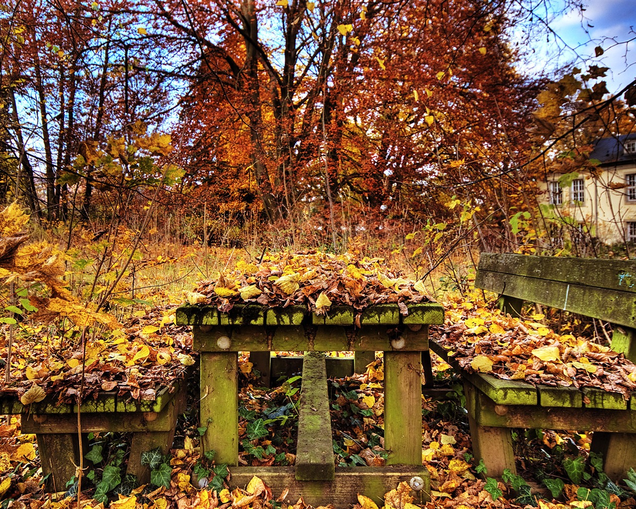 Město zřícenina HD tapety #11 - 1280x1024