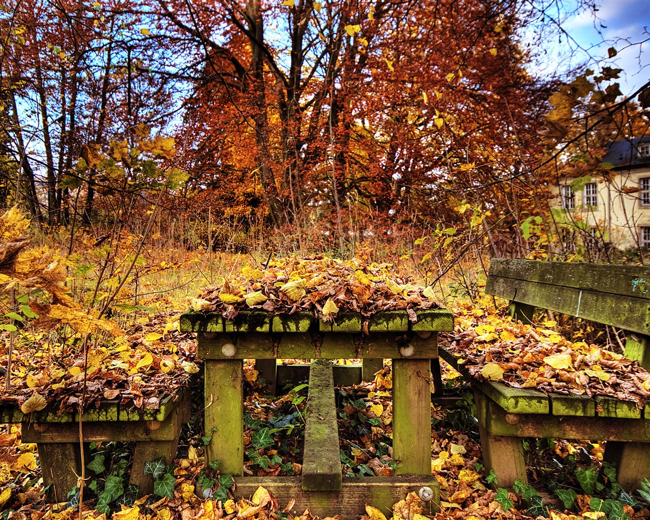 ruines de la cité des images d'écran HD #11 - 1280x1024