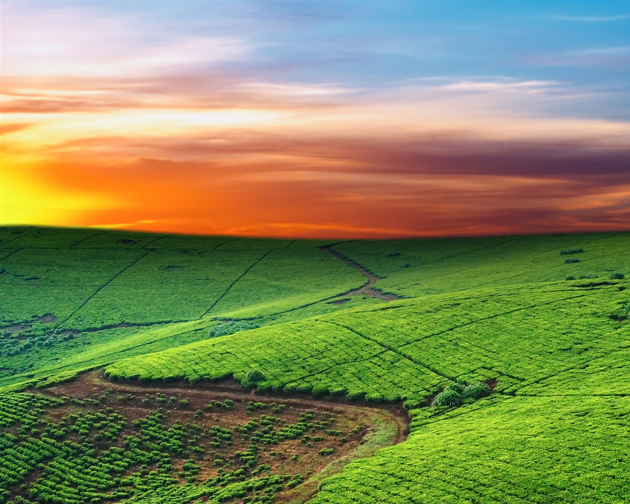 Scenery Collection Wallpapers (16) #18 - 1280x1024