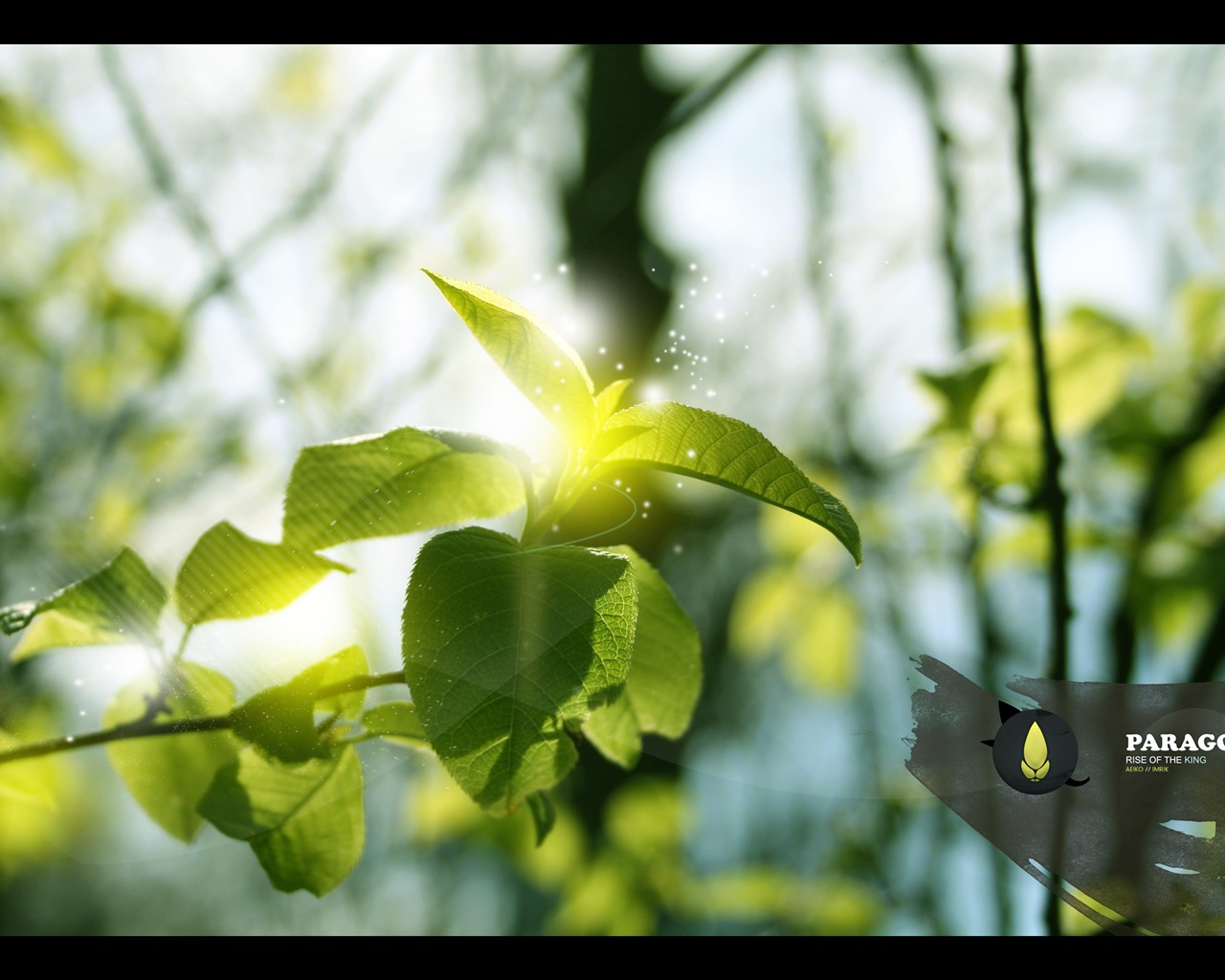 Large green leaves close-up flower wallpaper (1) #17 - 1280x1024