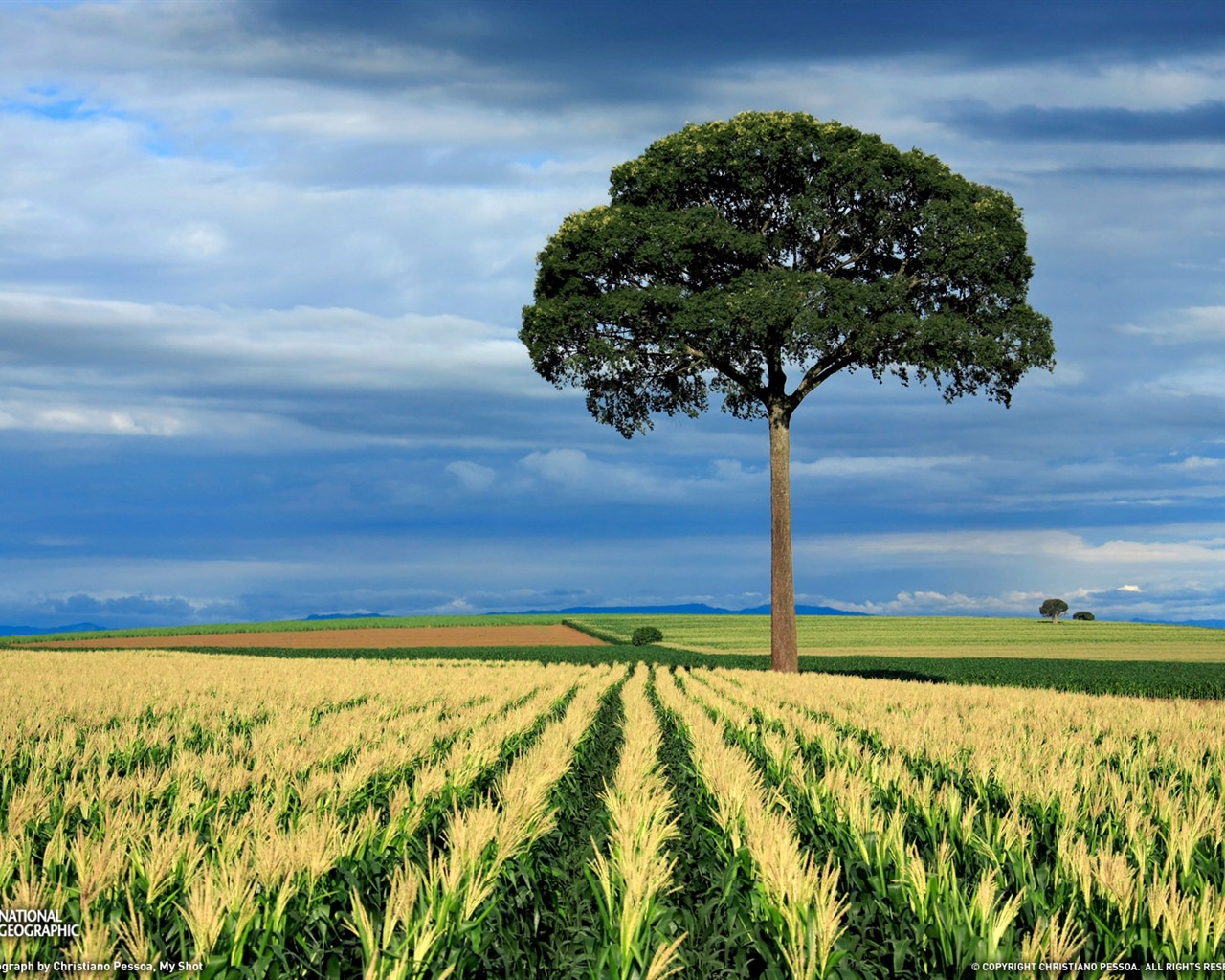 Wallpaper World geographical scenery Posts (5) #1 - 1280x1024