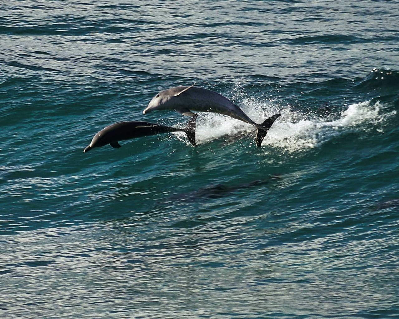 Oceány HD wallpaper #5 - 1280x1024