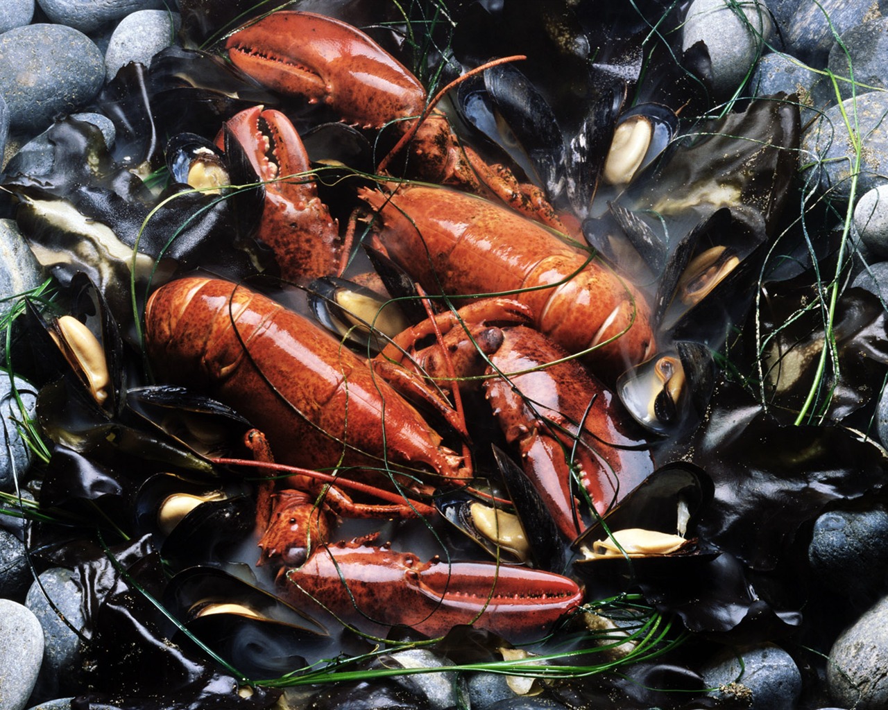 Gourmet večeře tapety (7) #19 - 1280x1024