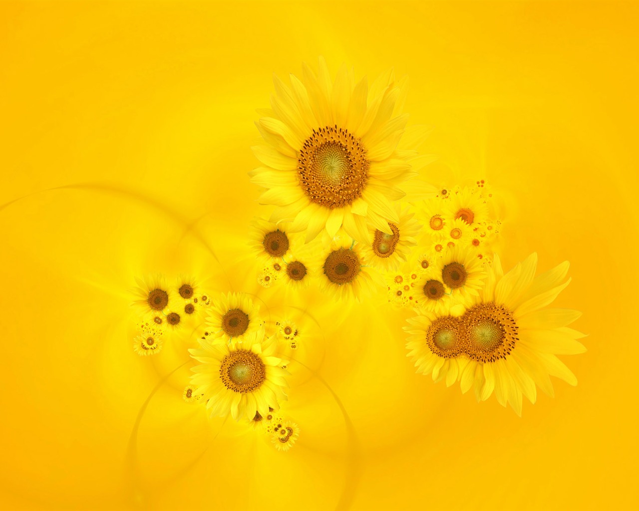 Beautiful sunflower close-up wallpaper (2) #5 - 1280x1024