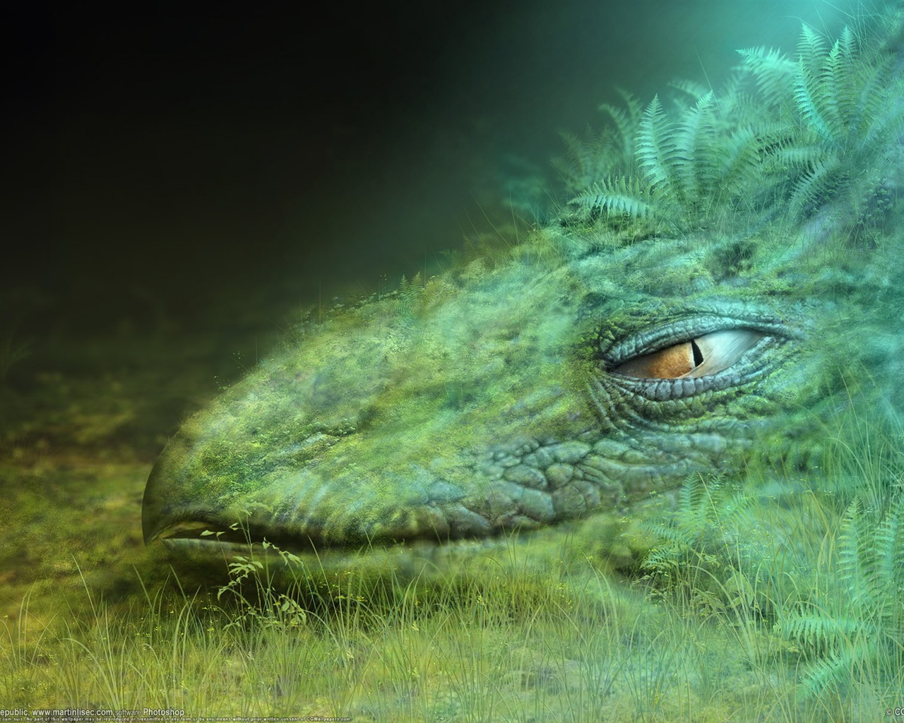 Animal Widescreen Wallpapers Collection (12) #19 - 1280x1024