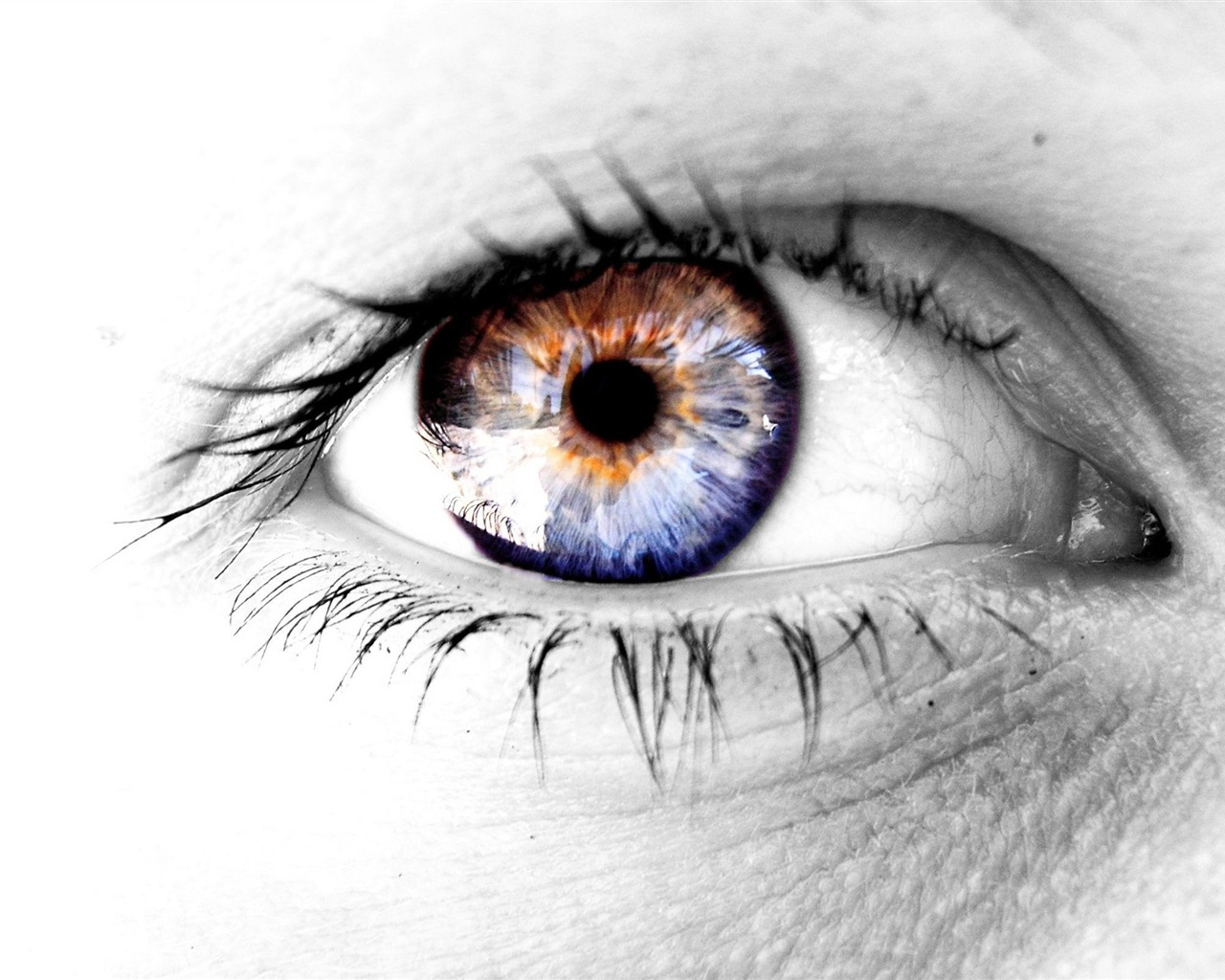 Super creative wallpaper (3) #11 - 1280x1024