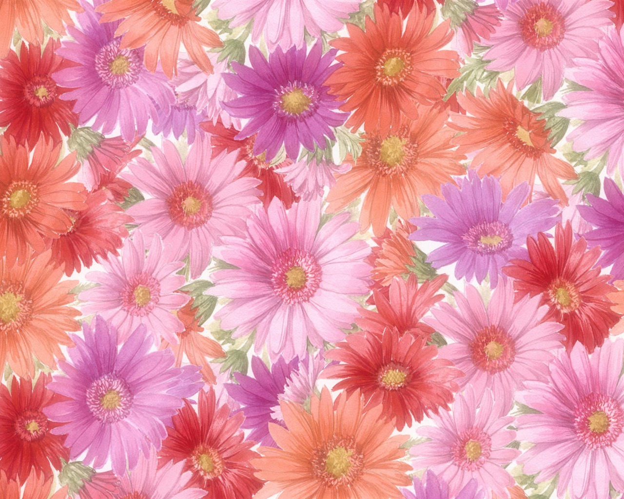 와이드 스크린 벽지의 꽃 가까이에서 (13)까지 #7 - 1280x1024
