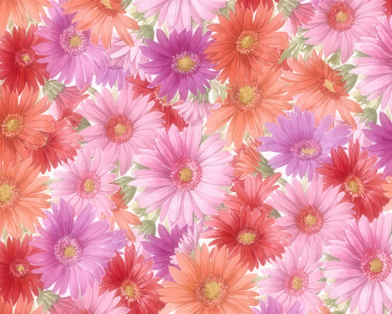 寬屏鮮花特寫 壁紙(13) #7 - 1280x1024