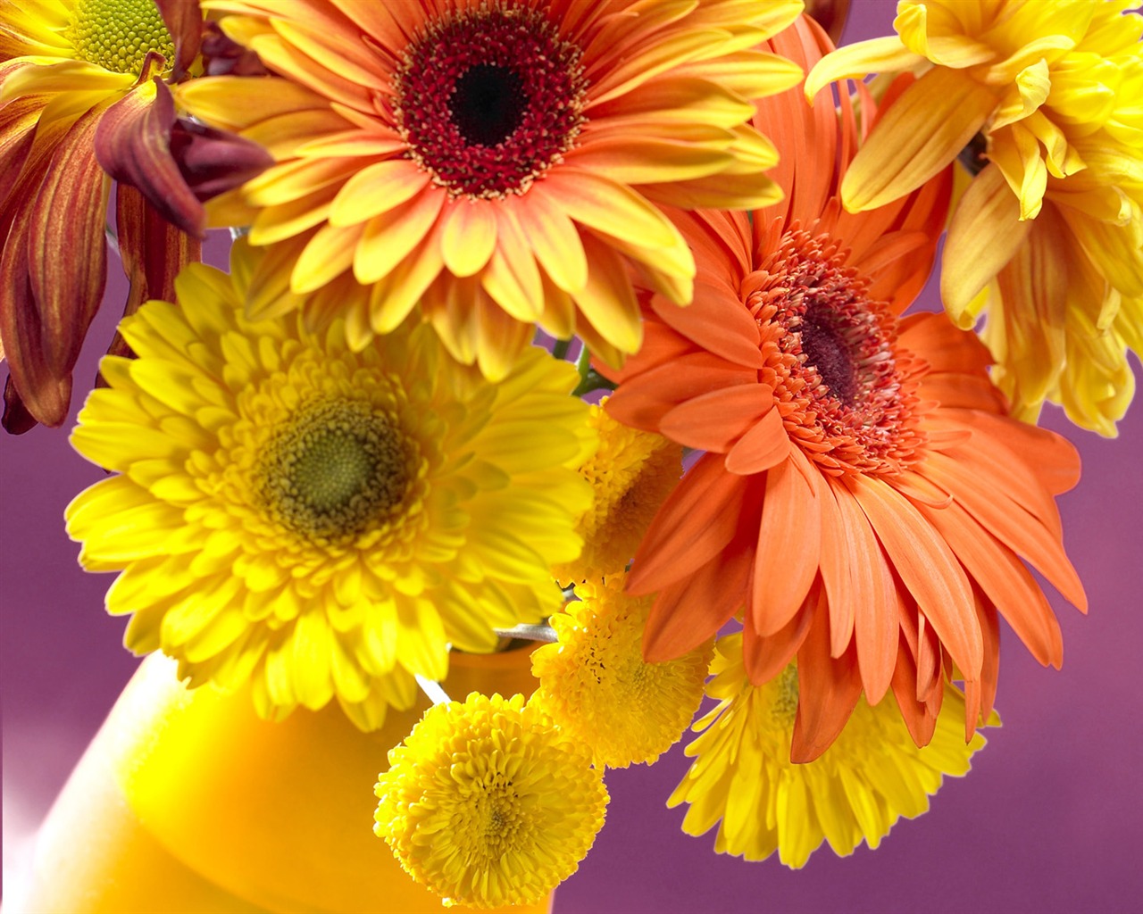 fleurs fond d'écran Widescreen close-up (13) #16 - 1280x1024