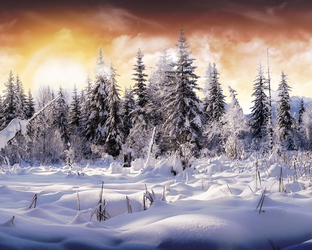 Scenery Collection Wallpapers (25) #12 - 1280x1024