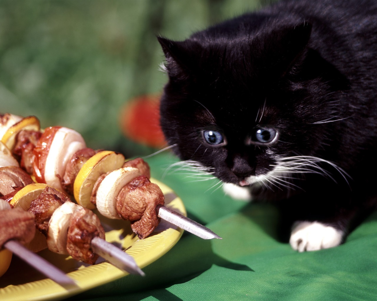 Delicious barbecue tapety (4) #17 - 1280x1024