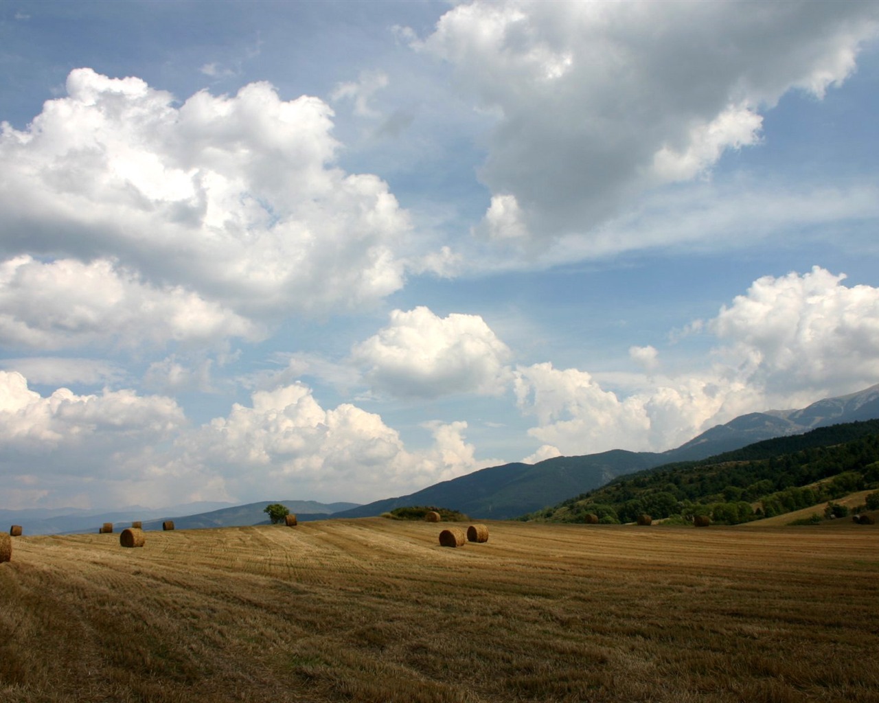 Tapety Krajina Kolekce (27) #9 - 1280x1024
