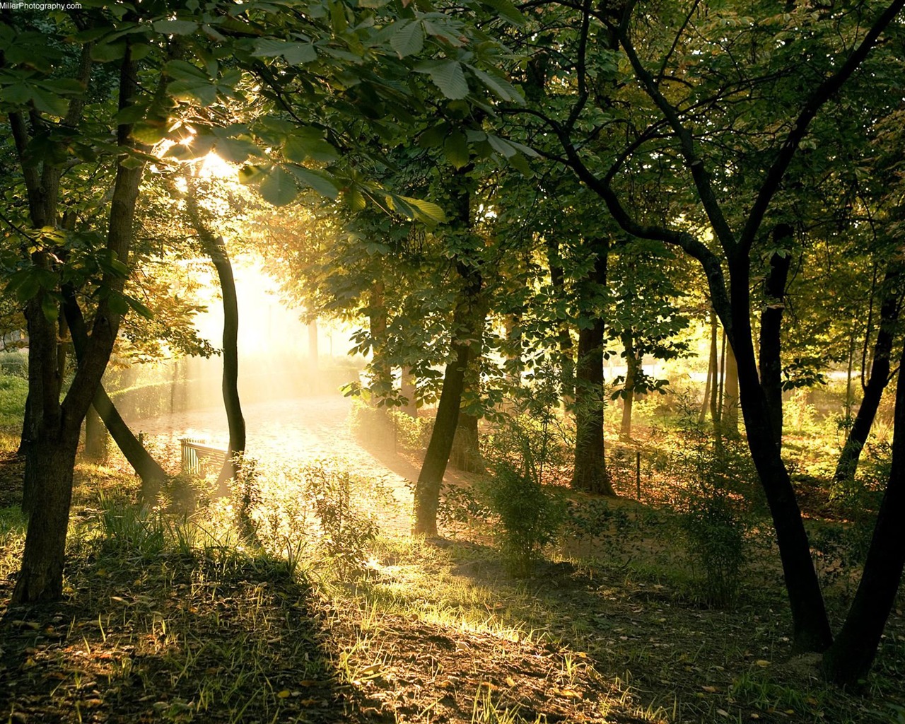 Tapety Krajina Kolekce (27) #10 - 1280x1024