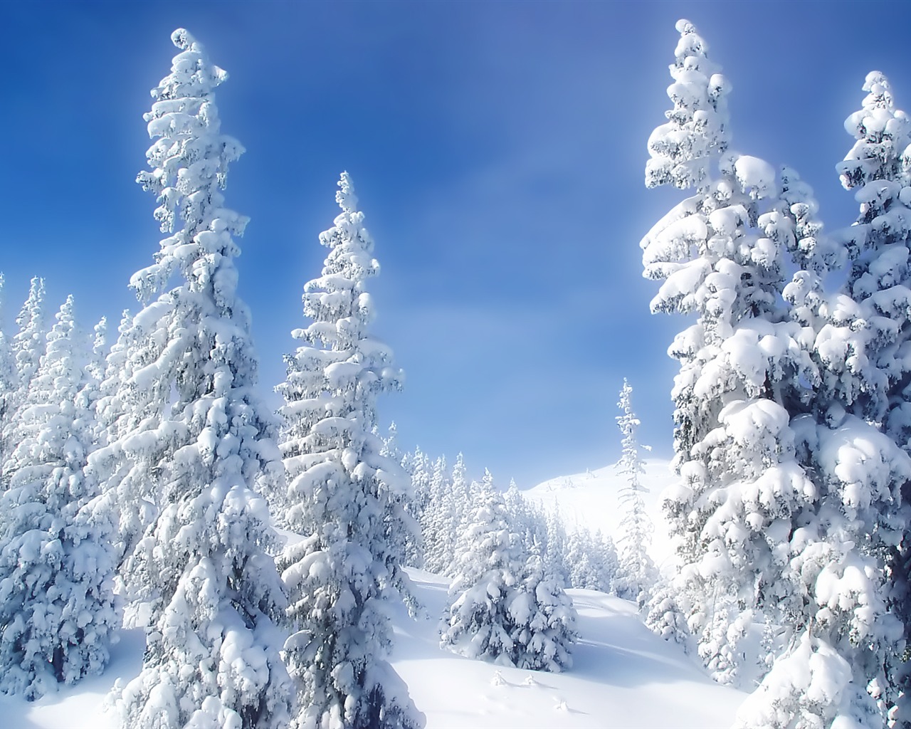 Tapety Krajina Kolekce (30) #19 - 1280x1024