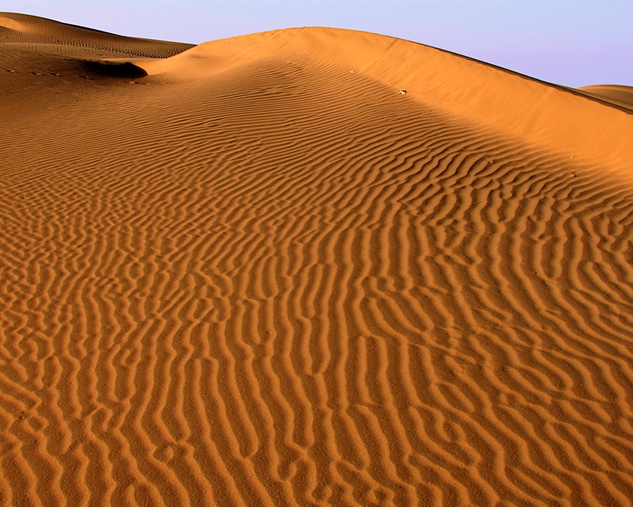 Microsoft India color theme wallpaper #3 - 1280x1024