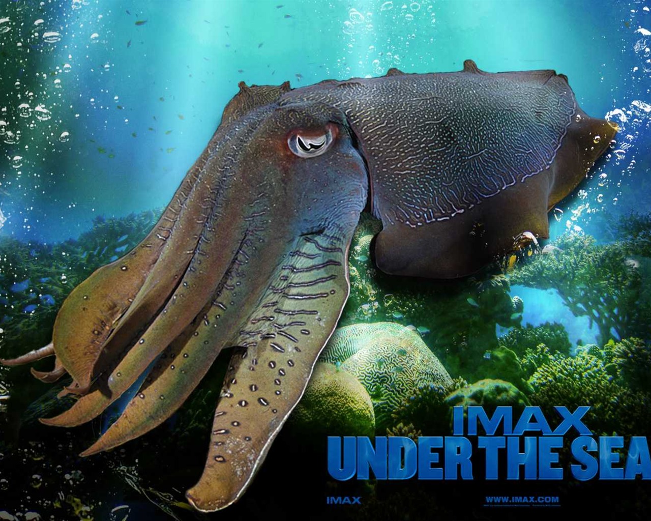 Under the Sea 3D 海底世界3D 高清壁纸47 - 1280x1024