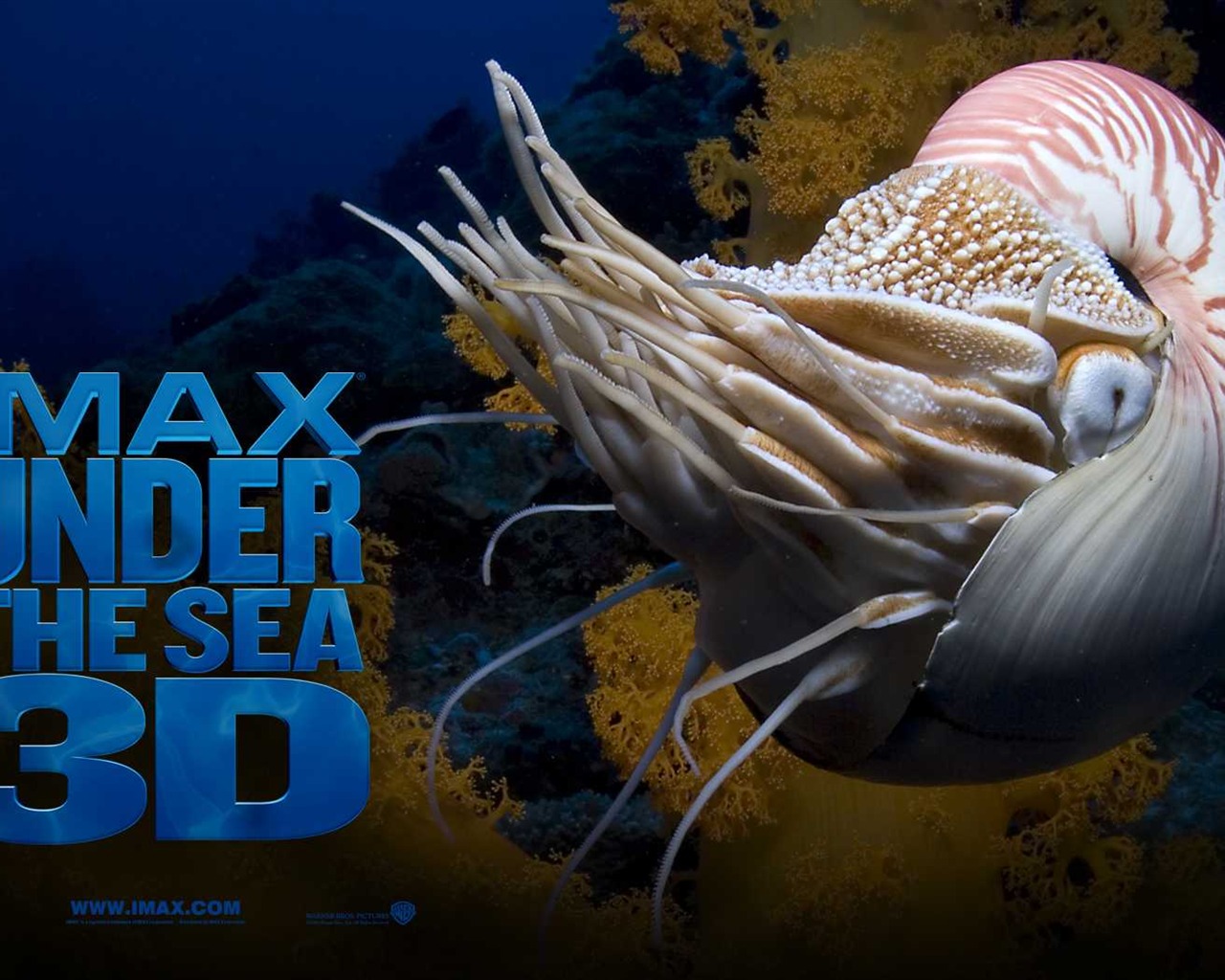 Under the Sea 3D 海底世界3D 高清壁紙 #49 - 1280x1024