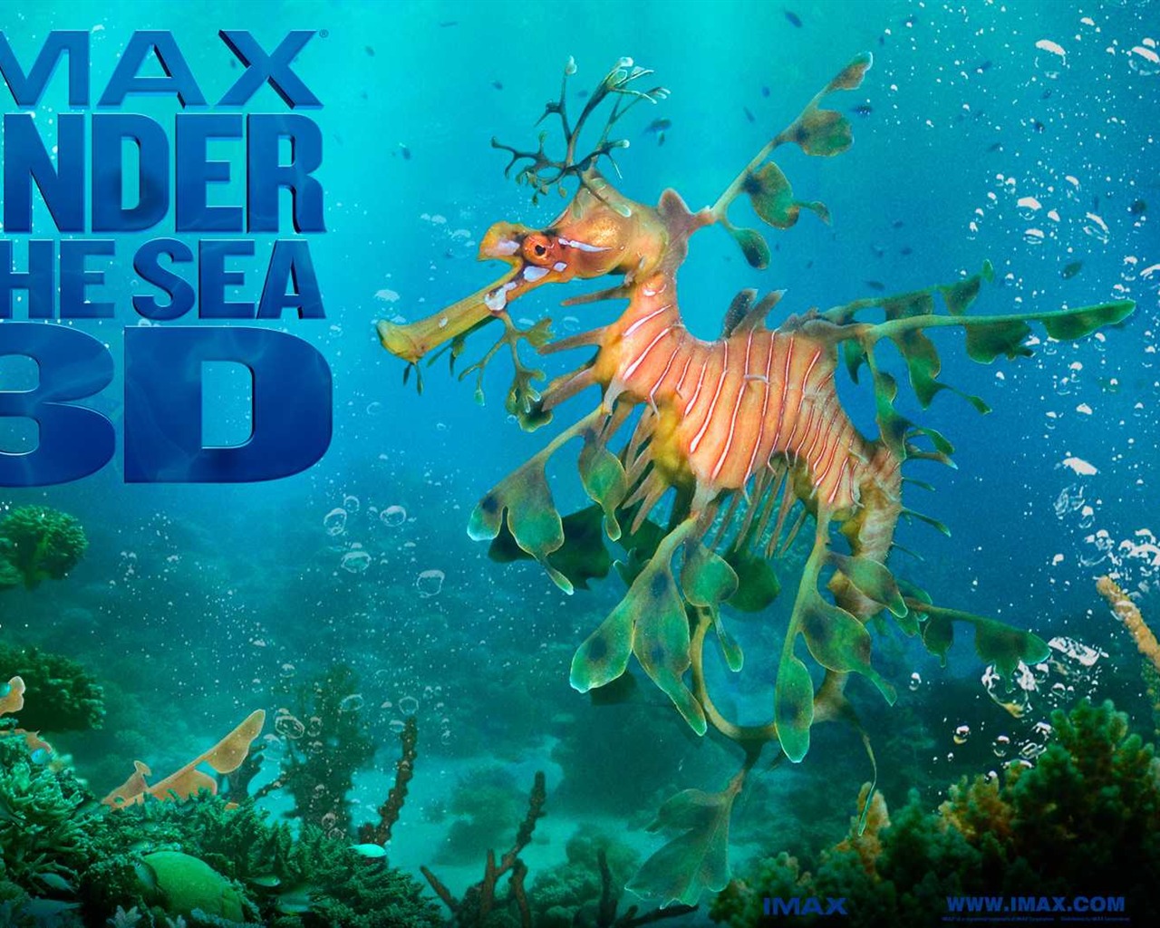 Under the Sea 3D 海底世界3D 高清壁紙 #50 - 1280x1024