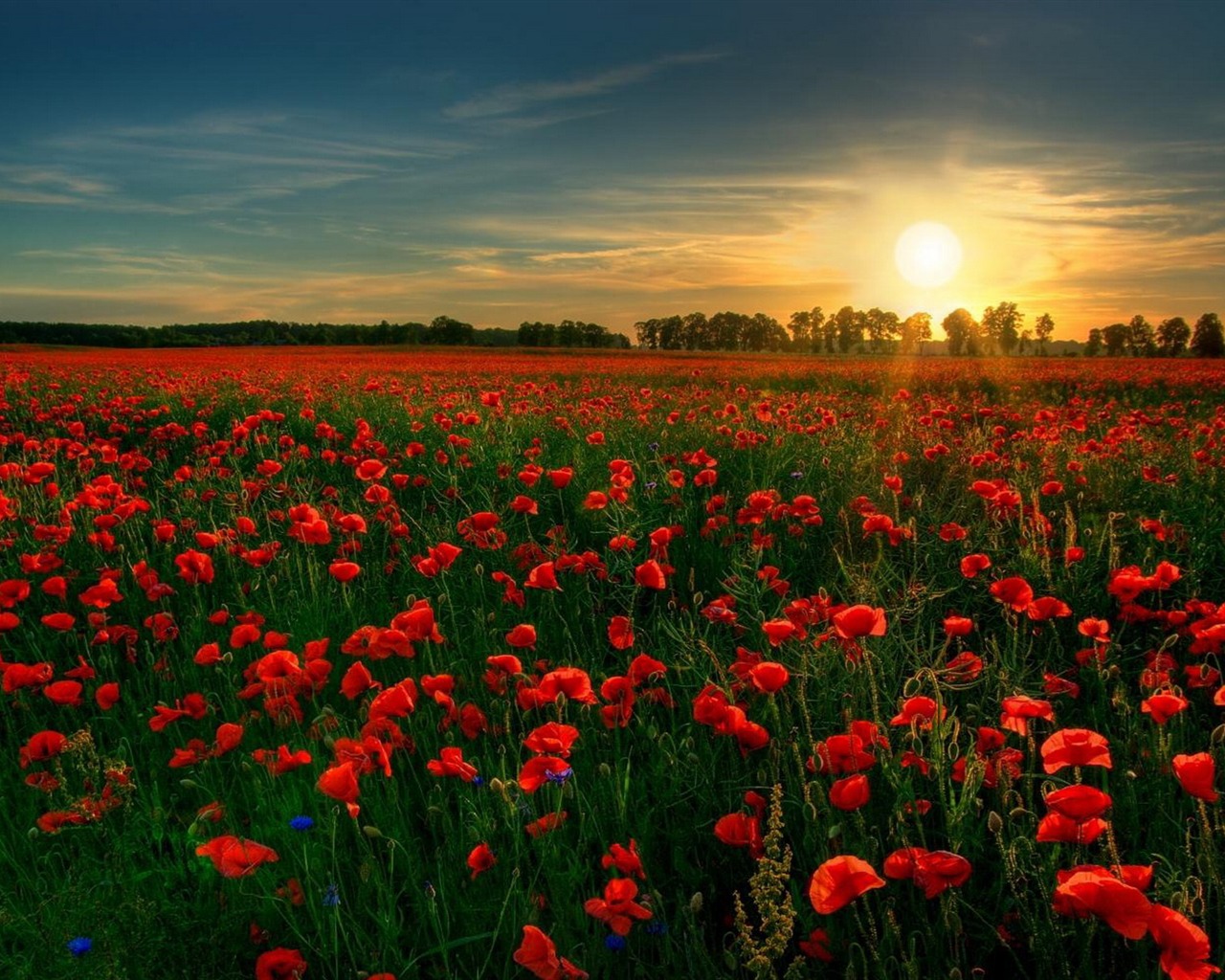 Scenery Collection Wallpapers (31) #10 - 1280x1024