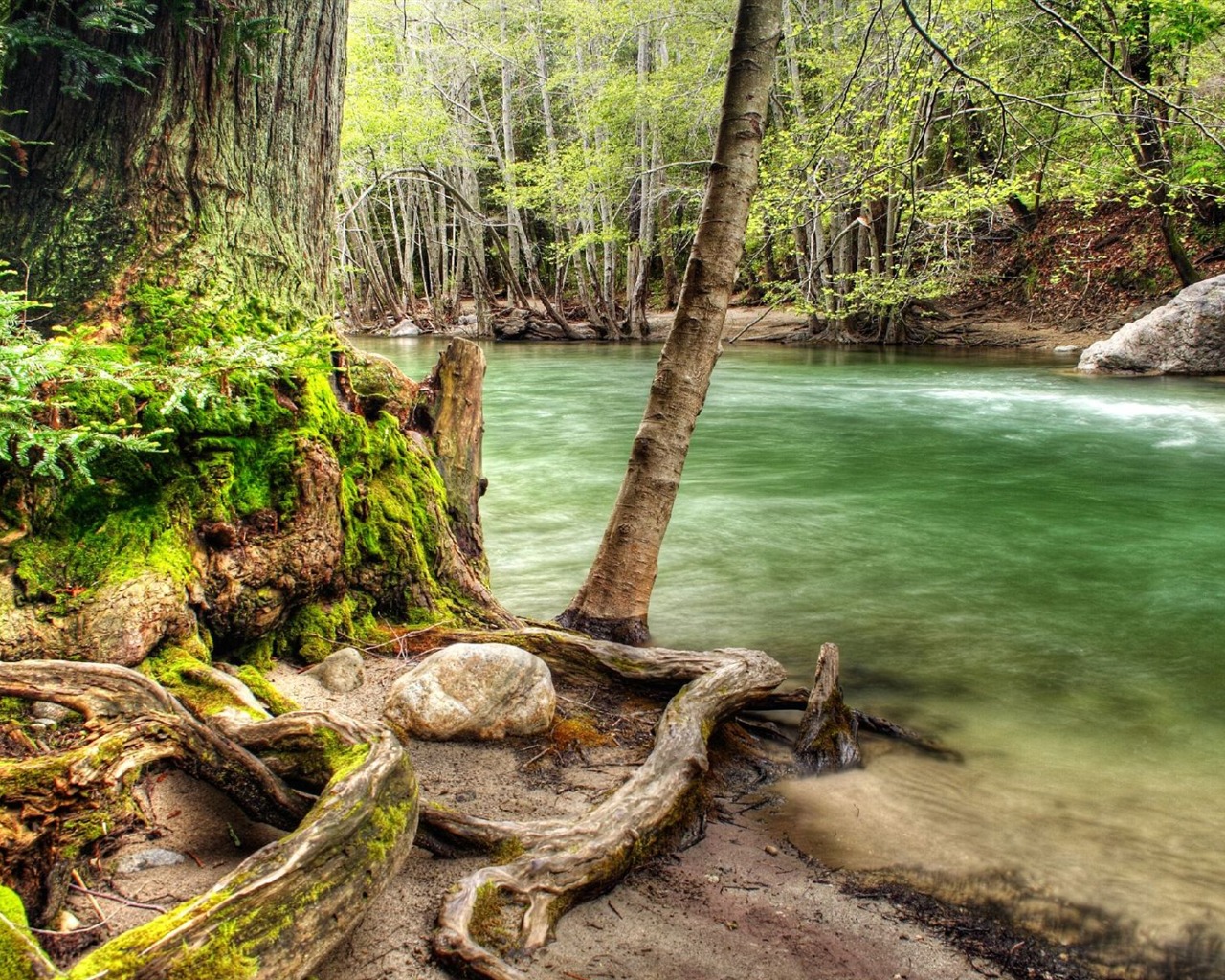Tapety Krajina Kolekce (35) #20 - 1280x1024