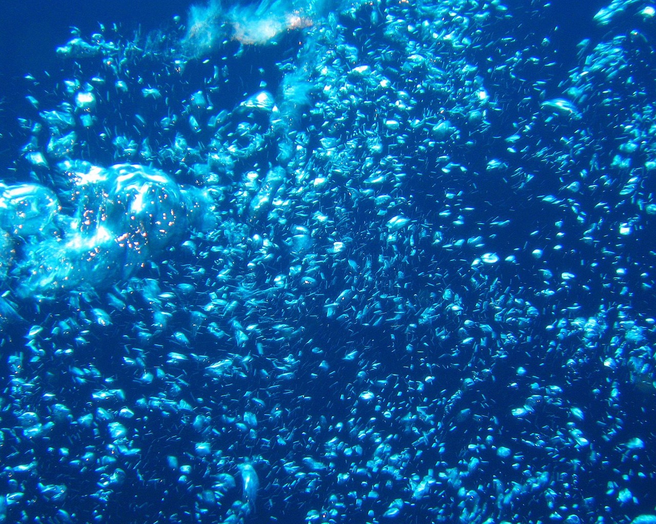 Fun Underwater World (4) #23 - 1280x1024