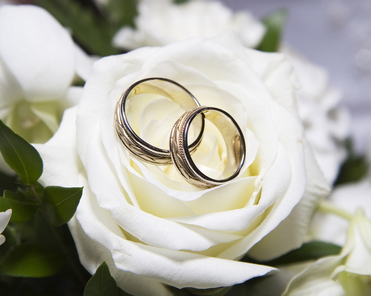 Svatby a svatební prsten tapety (1) #3 - 1280x1024