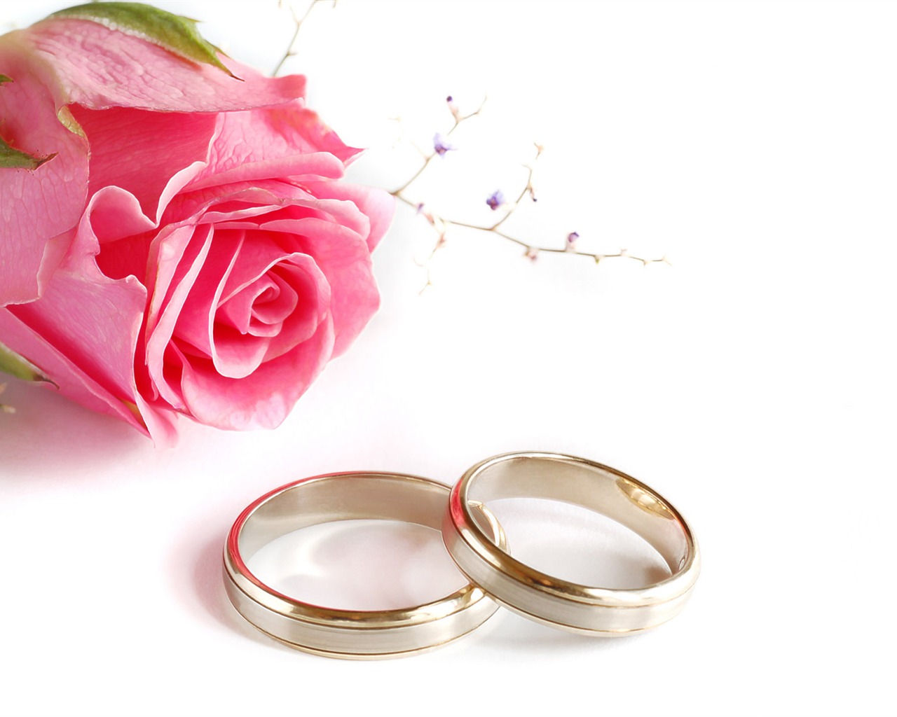 Weddings and wedding ring wallpaper (2) #12 - 1280x1024