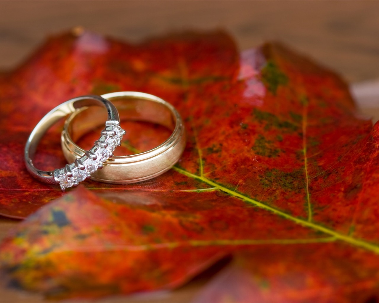 Свадьбы и свадебные кольца обои (2) #16 - 1280x1024