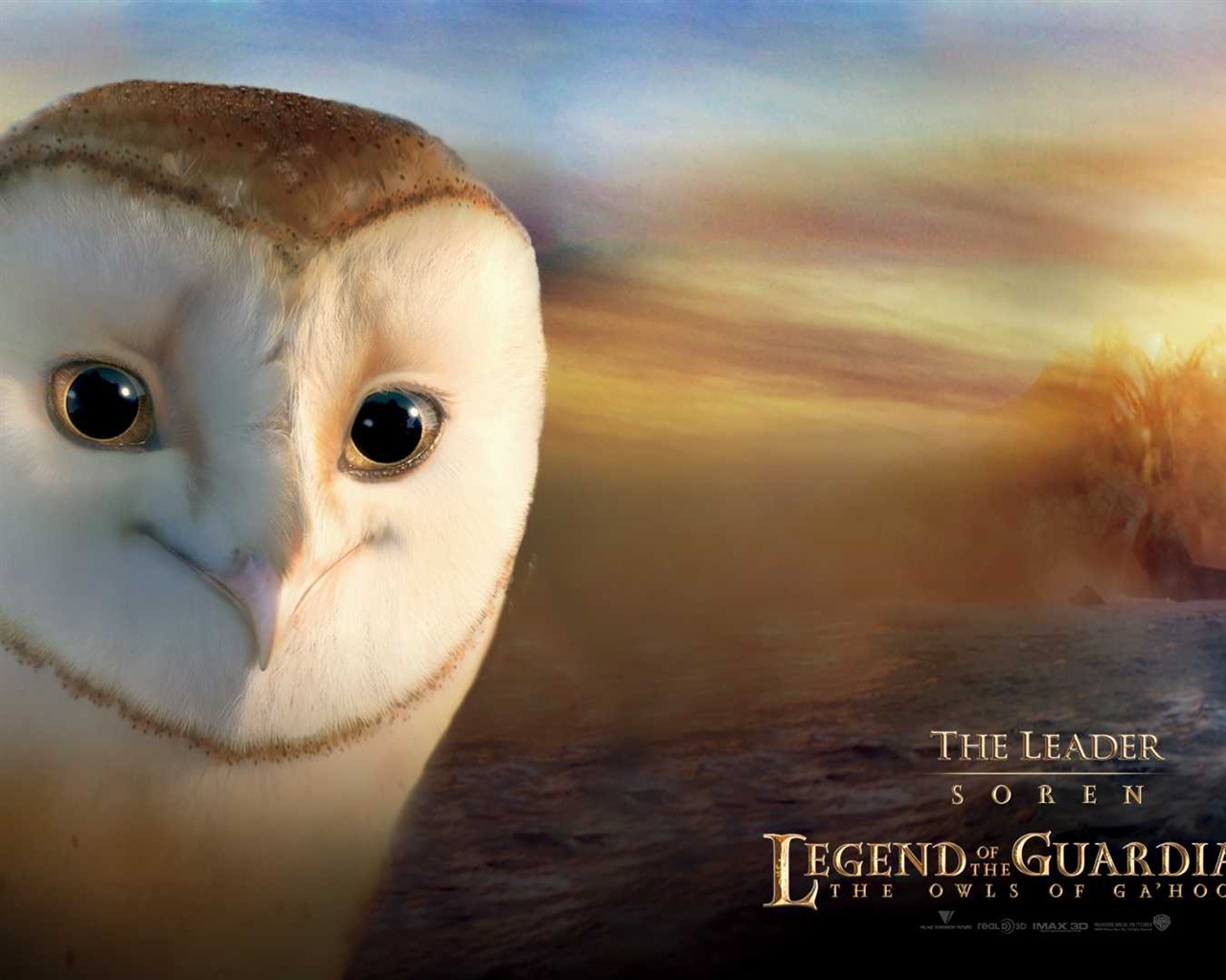 Legend of the Guardians: The Owls of Ga'Hoole 守衛者傳奇(一) #16 - 1280x1024