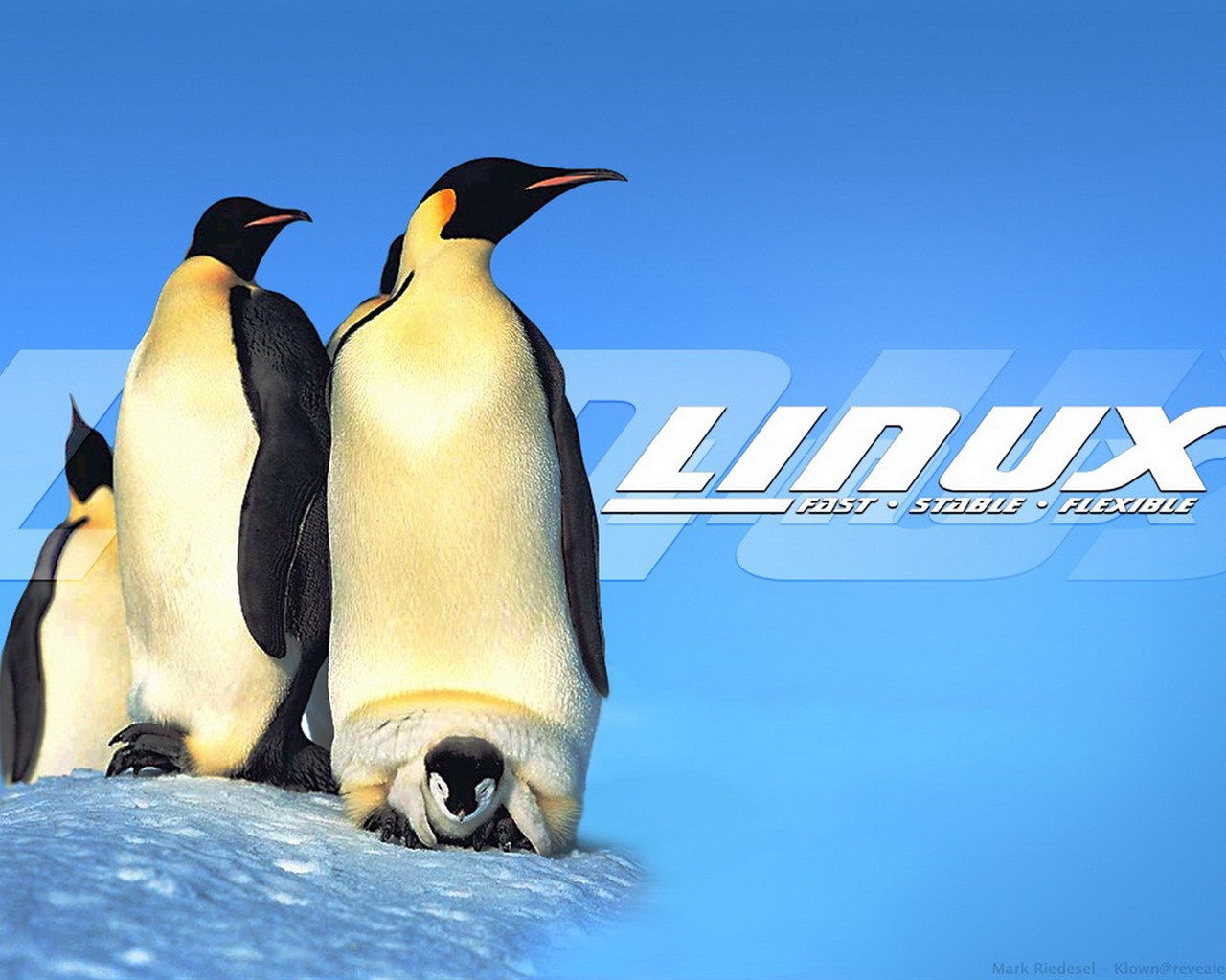 Linux tapety (1) #20 - 1280x1024