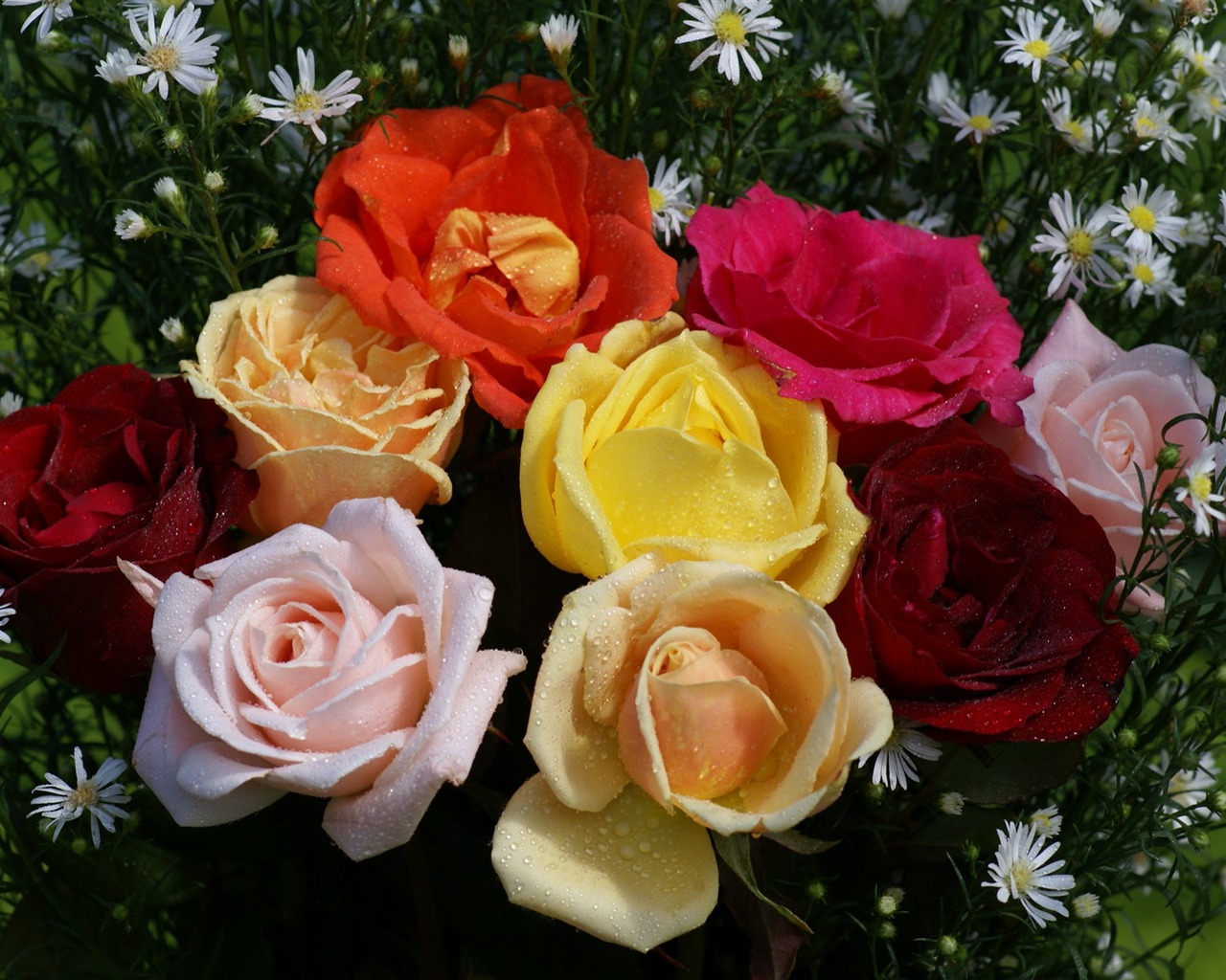 Rose Foto tapety (6) #6 - 1280x1024