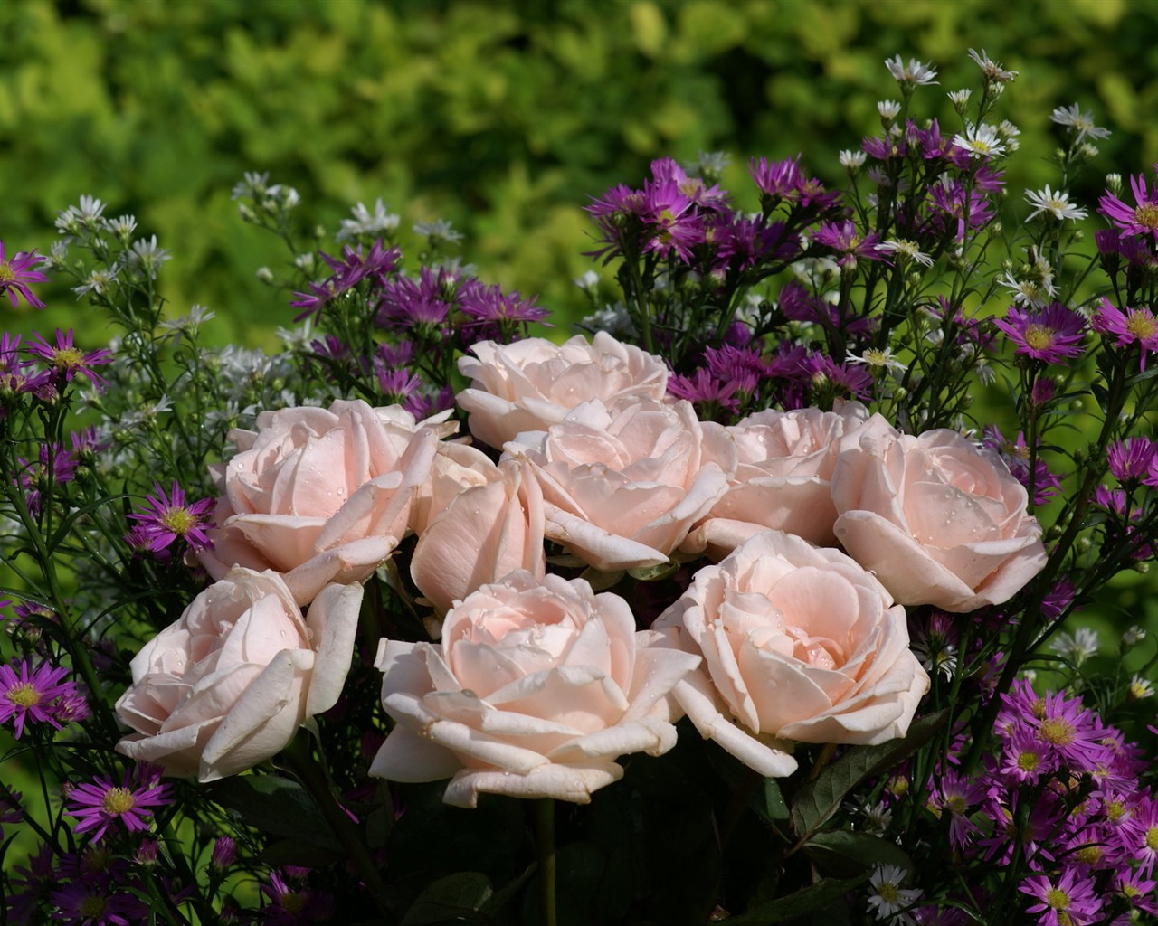 Rose Foto tapety (6) #20 - 1280x1024