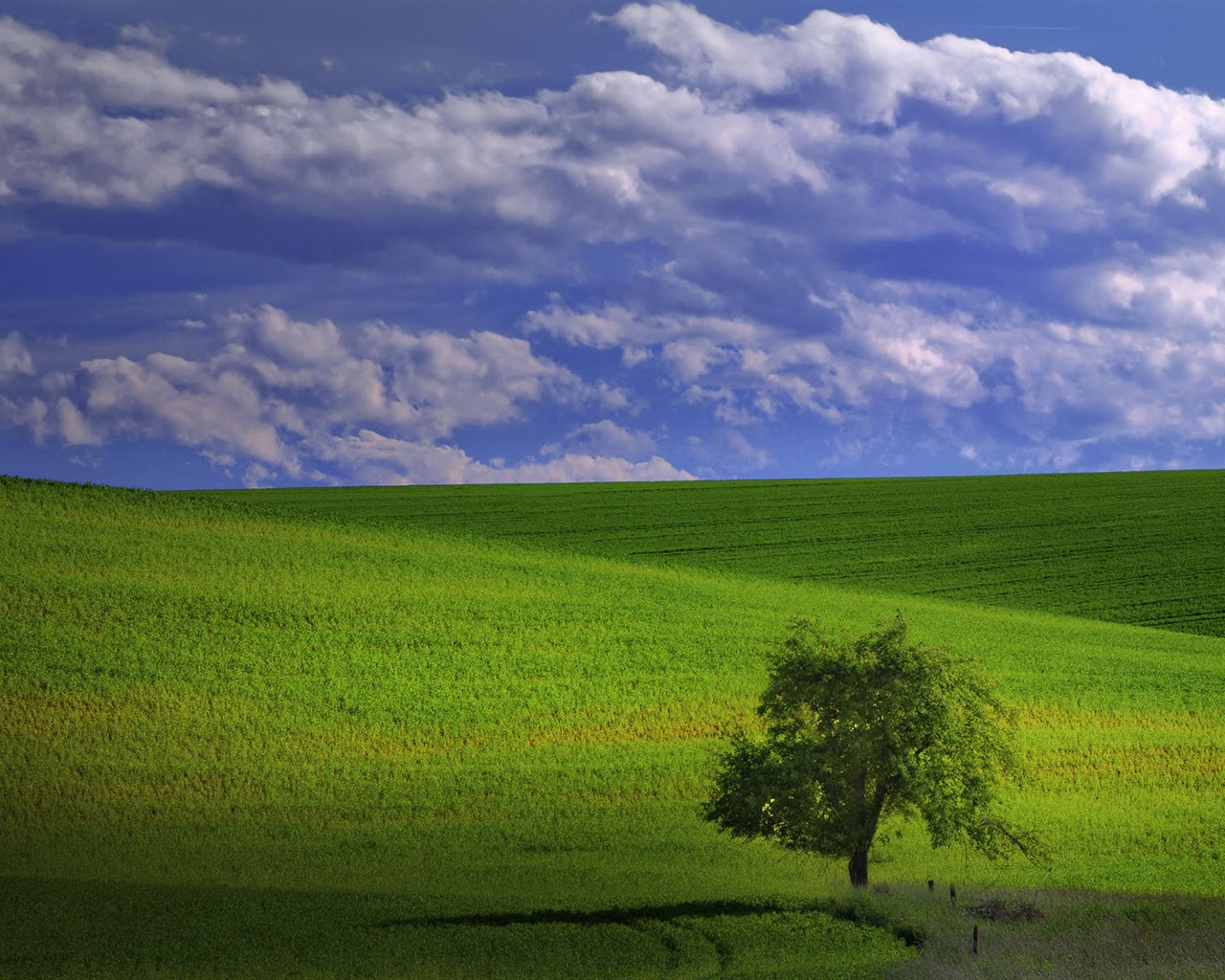 Tapety Krajina Kolekce (48) #15 - 1280x1024